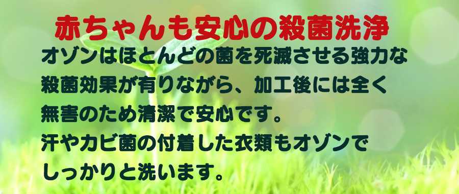 オゾンで殺菌、清潔洗い！